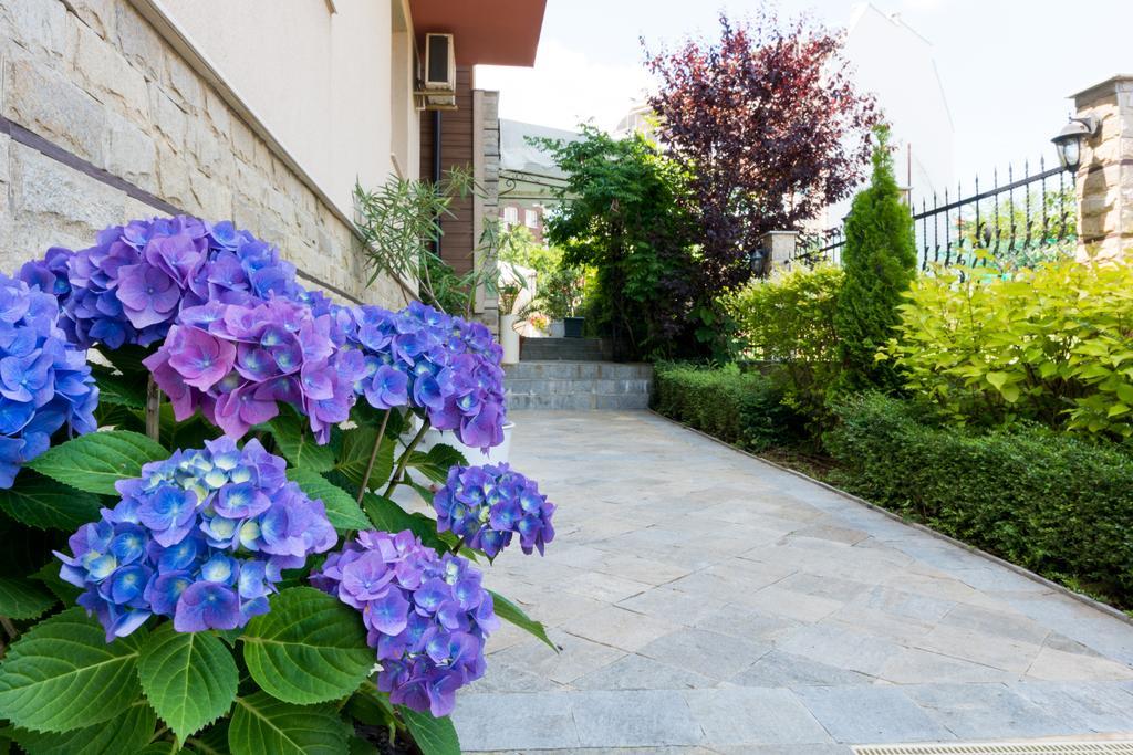 Hotel Siena House Sozopol Exterior foto